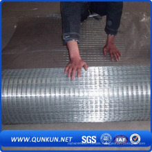 Galvanized Welded Wire Mesh for Construction (WWM)